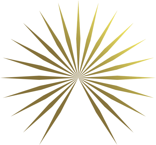 Arteriors